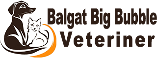 biVet